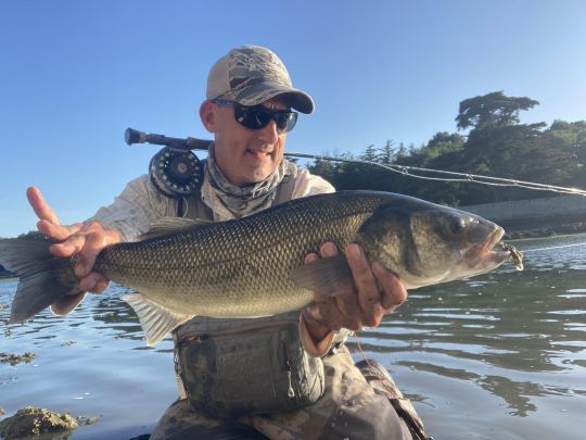 Savoir brider ce poisson avec une pointe plus forte m'aura permis de sortir ce bar d'une zone dangereuse de parcs à huitres