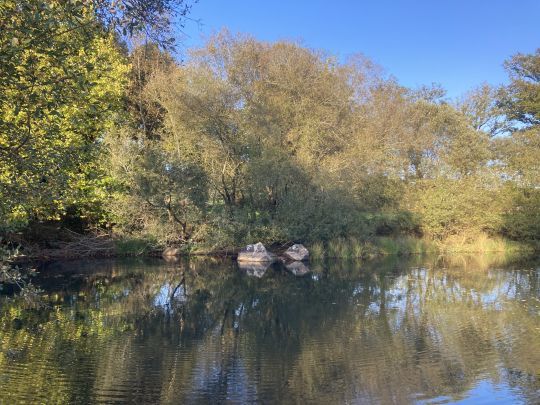Je trouverai une zone peu profonde où les truites seront actives en surface. Une bonne présentation sera de mise pour en faire monter quelques unes! 