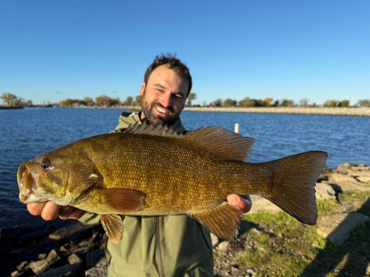Le smallie est un vrai poisson de sport