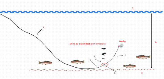 Montage avec un seil booby associé à d'autres mouches