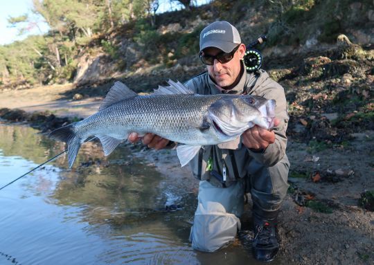 Le bar à vue, l'une des spécialités de Jean-Baptiste qui nous dévoile sa façon de traquer ce prédateur passionnant ainsi que quelques astuces