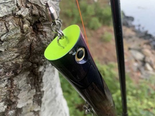 La Duck Dive F 230 est allongé.