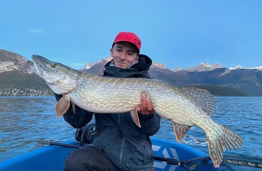 Pêcher de jolis brochets en hiver.