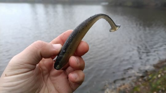 Une gomme dense, solide mais aussi très souple.