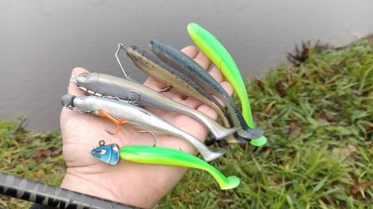 Capable d'être monté de nombreuses manières, sans perdre sa nage particulière.