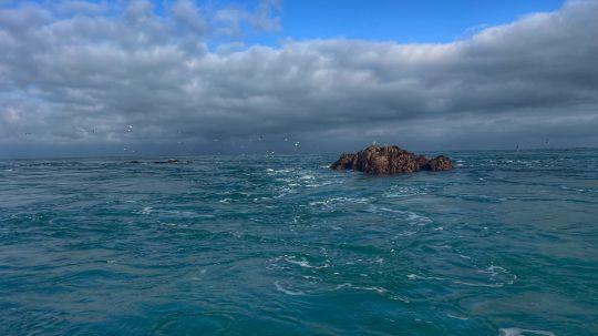 Ces zones, très exposées, abritent de beaux poissons. La pression de pêche est faible et les prédateurs le savent. En revanche, une profondeur trop importante rend quasi impossible la pêche de ces zones, ou la vitesse de dérive est souvent au-delà de 5 nœuds.