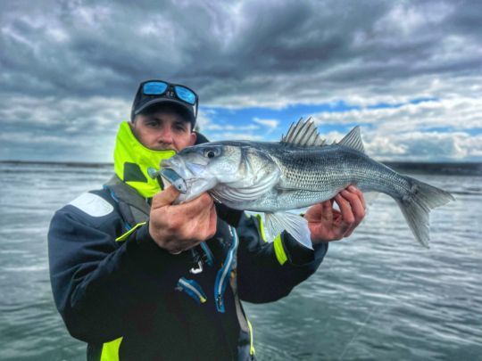 Le sondeur aura permis déceler la présence d'un banc de bars proche du fond. Sur la dérive suivante, j'ai opté pour un Fiiish Master Shad  afin d'aller les chercher proche du fond.