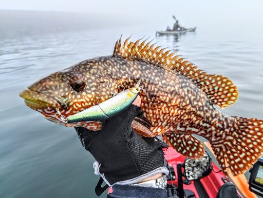 MAG SLIM (F) de chez YoZuri