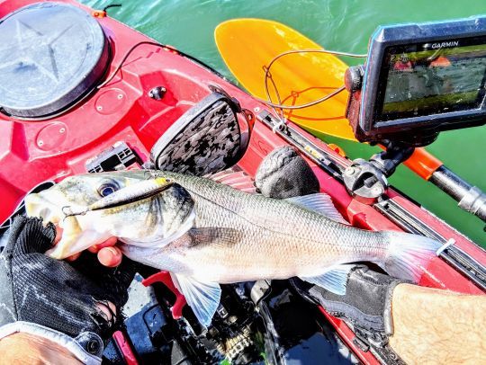 3DR-X Pencil (F) de chez YoZuri