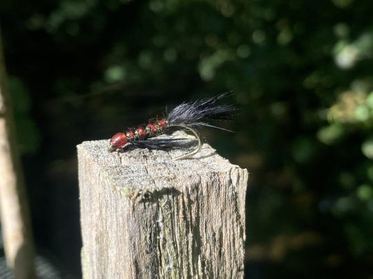 Une des versions de la Diawl bach ou petit diable. Le corps rouge donne d'excellents résultats certains jours! 