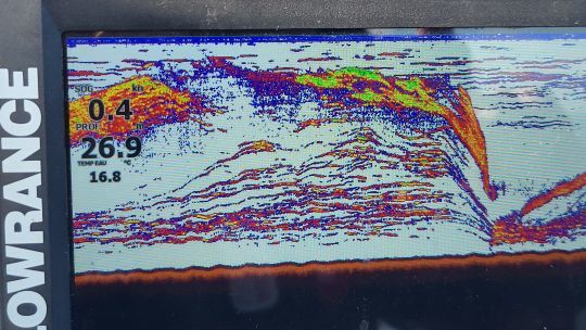 Les allaches sont là !