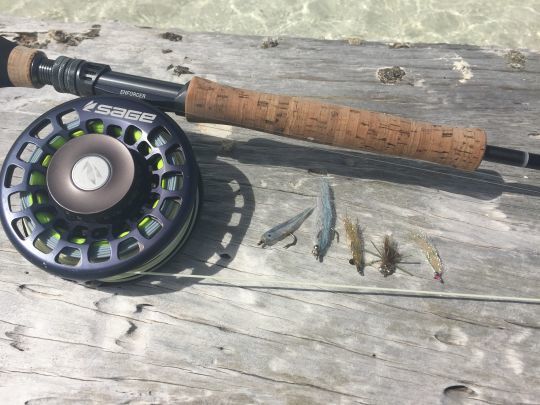 Ici une sélection de l'auteur pour les bonefish de Los Roques. On notera le clouser minnow et le gummy à gauche sur la photo qui sont les plus utilisés sur ces bonefish qui se nourrissent souvent de petits poissons