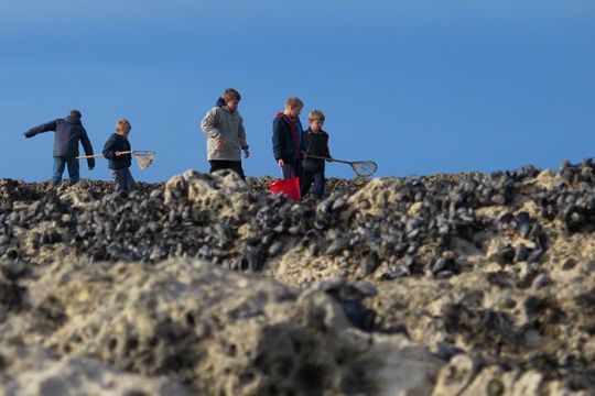 La réglementation uniformisée pour la pêche loisir et pro