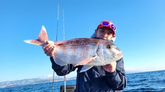 Rechercher les gros pagres en traîne lente.