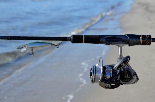 Pêcher aux leurres les plages de sable.