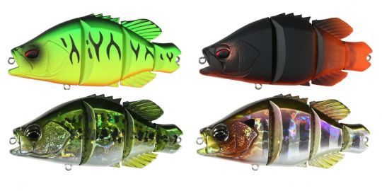 Les couleurs sont réussites !