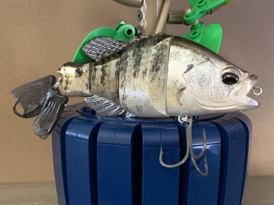 Le Snappy Crappie nage en surface.