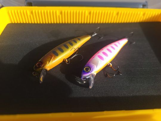 Le Tiny Fry 65 SP offre une nouvelle taille à un leurre de légende