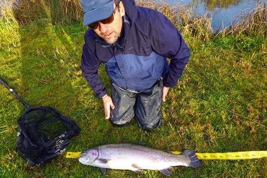 Ce poisson est massif !