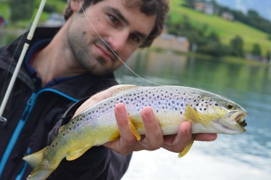 Une belle truite d'estuaire