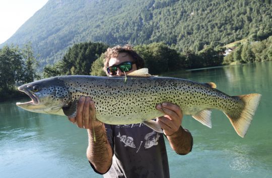 Une énorme truite de mer de 85cm sur une canne UL!