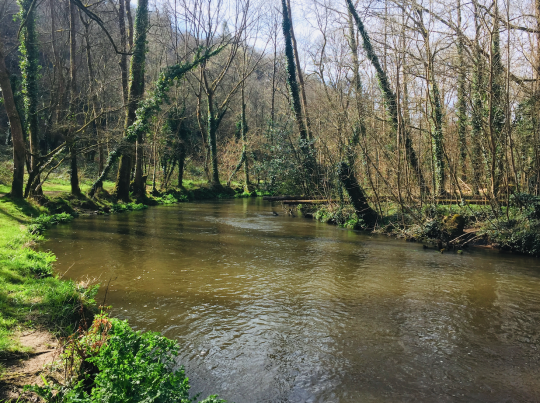 Ce genre de secteur se prête bien à la pêche au streamer. Il faudra trouver la bonne profondeur et l'animation du jour pour déclencher les truites postées