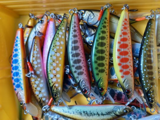 Des créations originales de grandes qualités