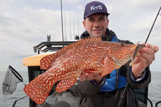 De nombreuses espèces ne font pas partie des poissons à déclarer