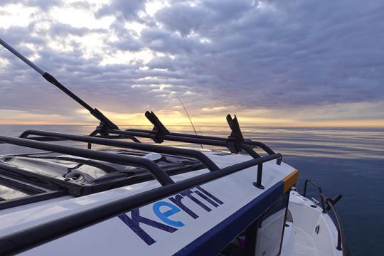 De retour de la pêche, avant minuit, les poissons concernés devront être déclarés