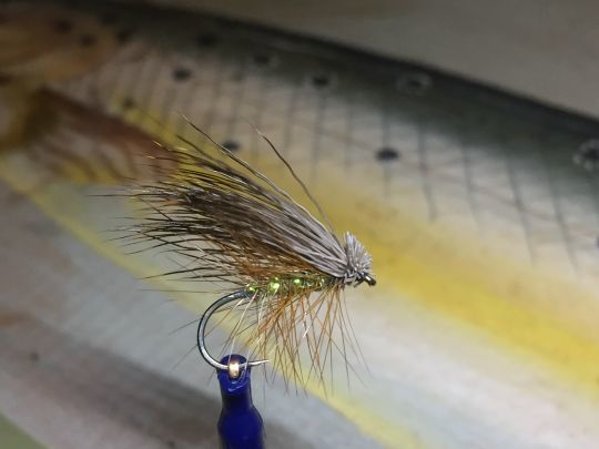 Le Elk Hair Caddis est une mouche à la fois incitative et imitative