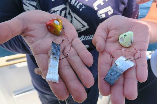 Même pour faire des appâts, la déclaration en ligne devient une vraie galère