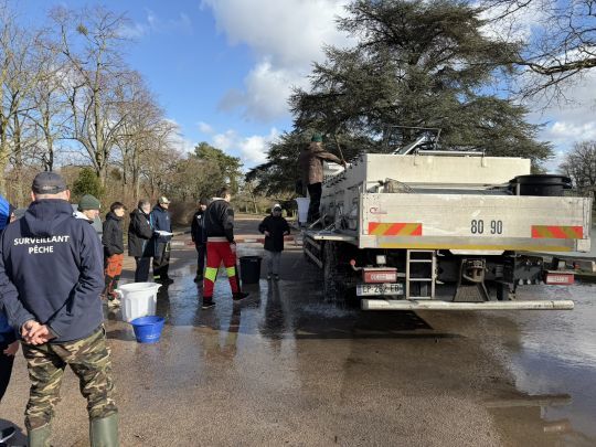 Un camion spécial avec de l'eau bien oxygénée permet de transporter les poissons sans stress.