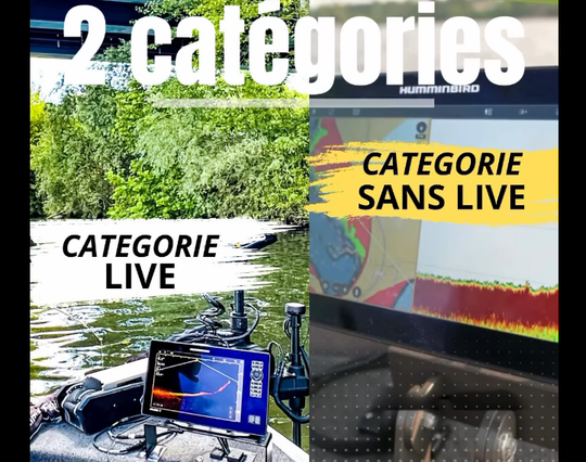 Deux catégories distinctes pour cette compétition.