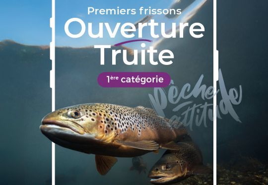La semaine précédant l'ouverture de la pêche de la truite, plusieurs dizaines de milliers de cartes sont prises chaque jour.
