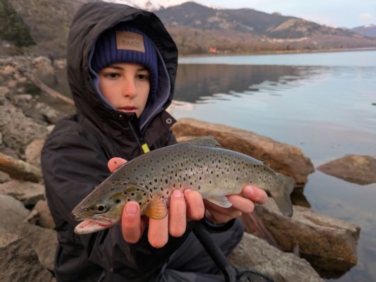 Marc nou sprésente une truite leurrée à la Tricoroll Spoon au coup du matin