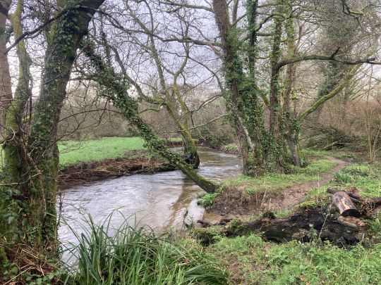 L'ouverture est surtout en moment de retrouvaille avec les rivières