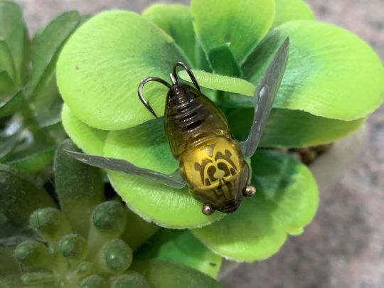 L'imitation est réussit.