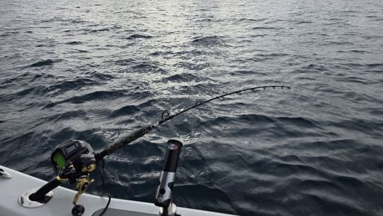 Du matériel puissant.