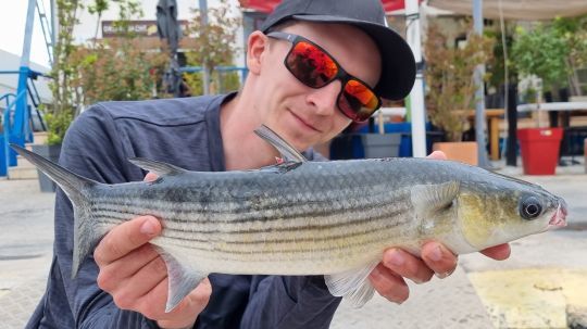 Adapter l'amorce utilisée aux poissons recherchés.