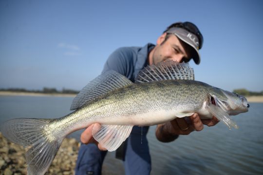 Le grand angle déforme l'image et met en avant le poisson