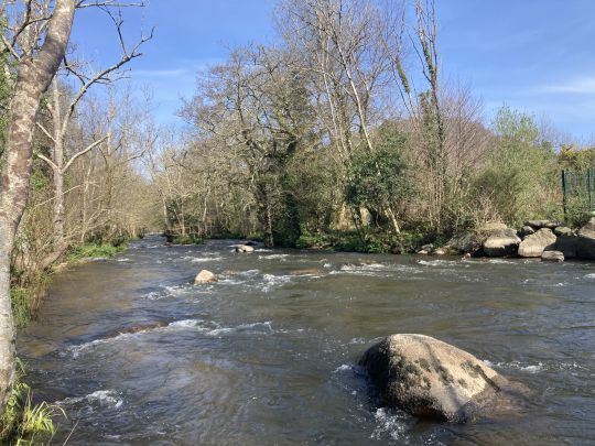 L'Odet proche de Quimper offre un profil varié et très bien adapté pour la pratique de la pêche en nymphe au fil. Un endroit idéal pour cette première Masterclass en Bretagne