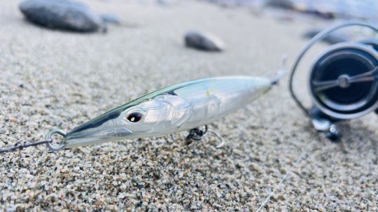 Lorsque les algues sont en surface, l'utilisation d'un leurre de surface peut être rendue compliquée, voire impossible.