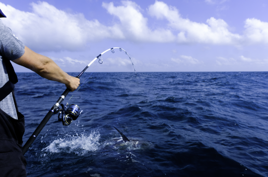 S'offrir de nouveaux combats !