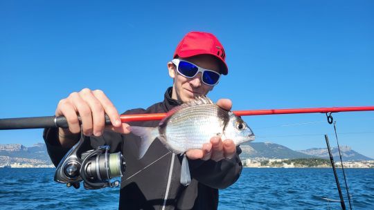 Pêcher différentes espèces de poisson.