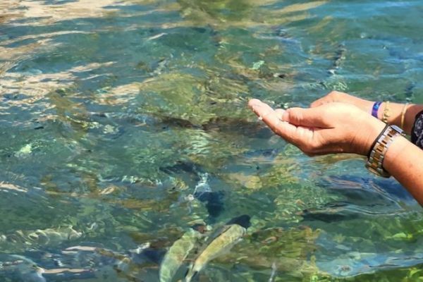 Le aree marine protette