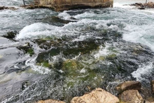 L'acqua, una risorsa con cui fare i conti!
