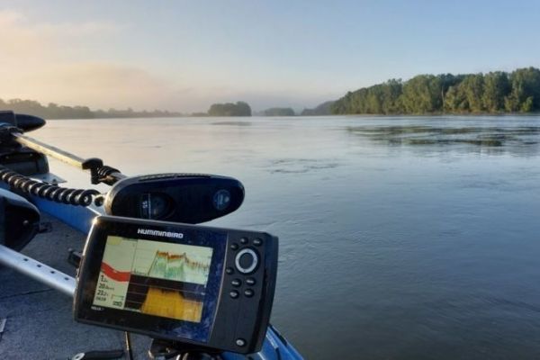 Impatto dell'elettronica sulla pesca