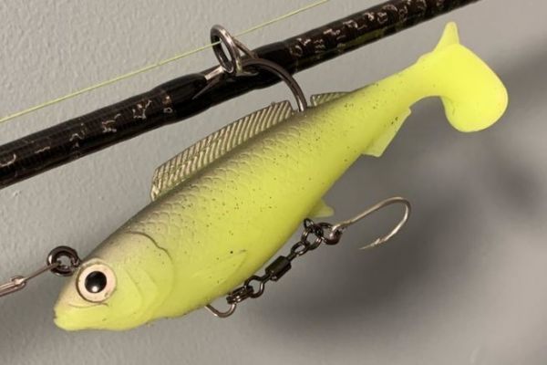 L'HerculeZ è solido!