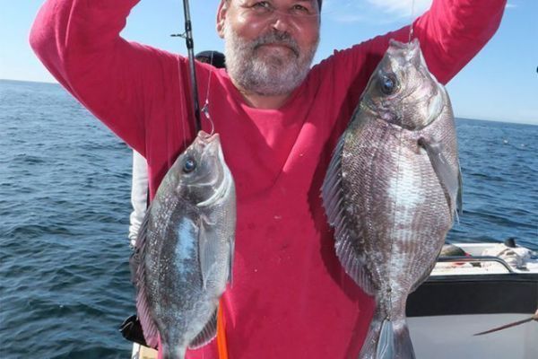 L'orata, un pesce combattivo e una pesca divertente per tutti