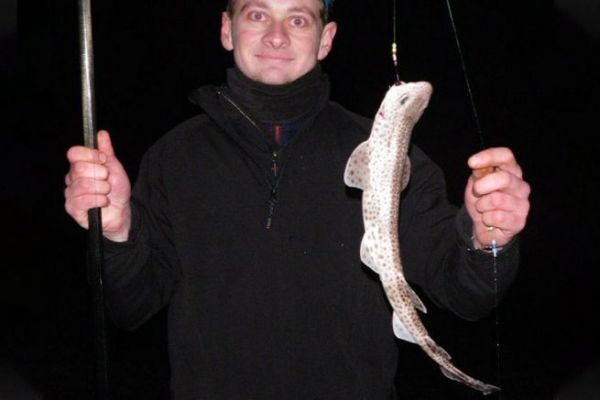 Il gattuccio, un piccolo squalo che nuota lungo le nostre coste Piccolo gattuccio catturato con il surfcasting